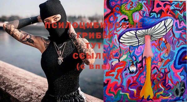 прущая мука Вязники