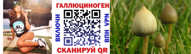 Купить где  Нелидово  Псилоцибиновые грибы Magic Shrooms 